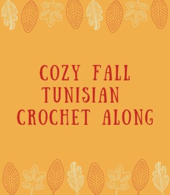 cozy fall crochet a long
