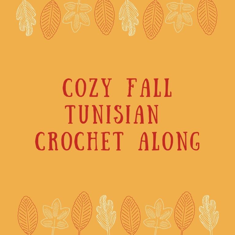 cozy fall crochet a long
