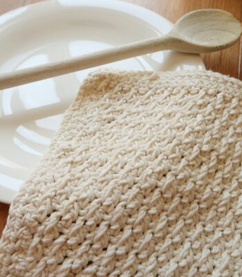 alpine crochet dishcloth pattern