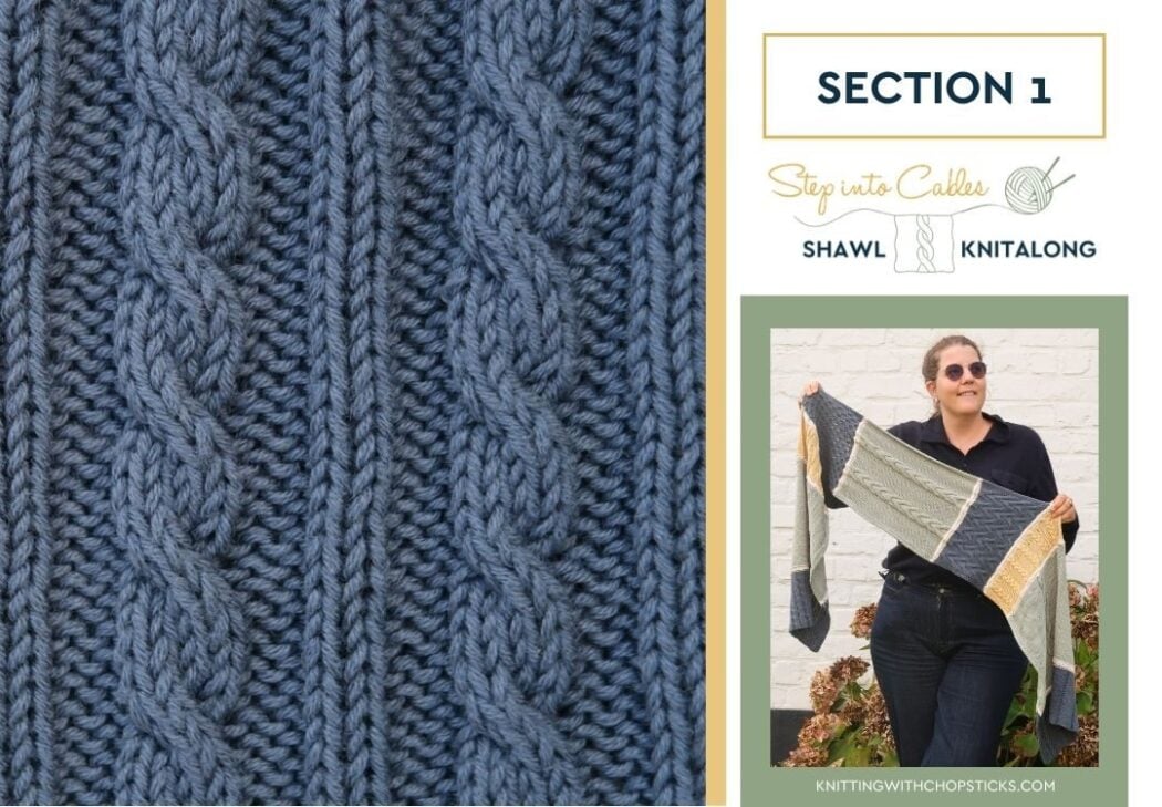 Section 1 Cabled Ribbing cable knit pattern
